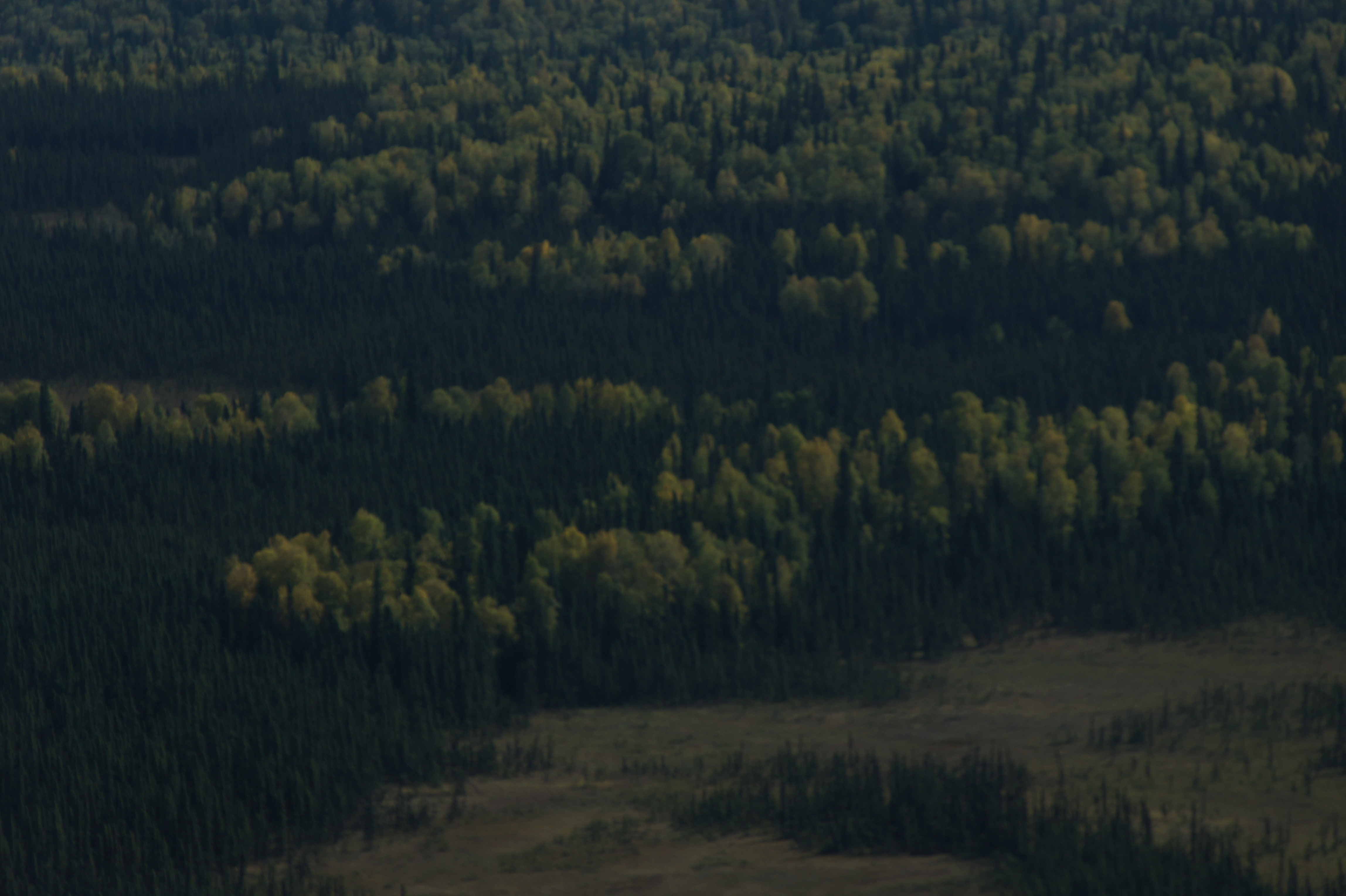 Click to return to the thumbnail index